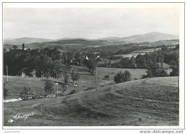 19 - CORREZE - TREIGNAC - PANORAMA Sur Les MONEDIERES - EDITION THEOJAC  SANS N° - Treignac