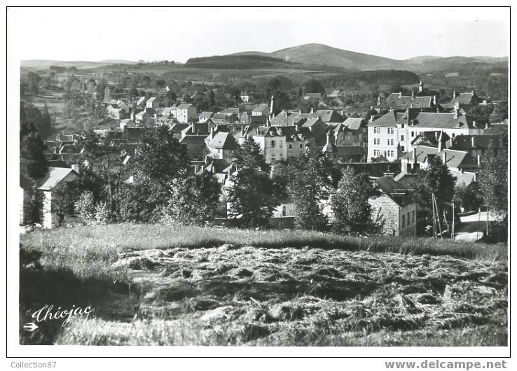 19 - CORREZE - TREIGNAC - BELLE VUE D´ENSEMBLE - EDITION THEOJAC  SANS N° DOS DIFF. - Treignac