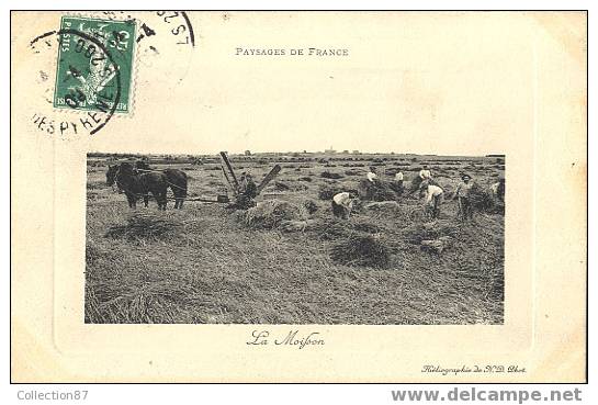 AGRICULTURE - CULTURE - ATTELAGE De CHEVAUX - FAUCHEUSE - LA MOISSON - TRES BEAU PLAN - Landwirtschaftl. Anbau