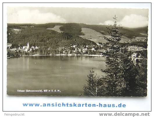 D 3757 - Titisee (Schwarzwald) - S/w Foto Ak, 1959 Gelaufen - Titisee-Neustadt