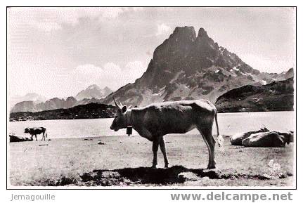 LAC D´AYOUS 64 - Pic Du Midi D´´Ossau 2885 M - 81 - W-2 - Lescar