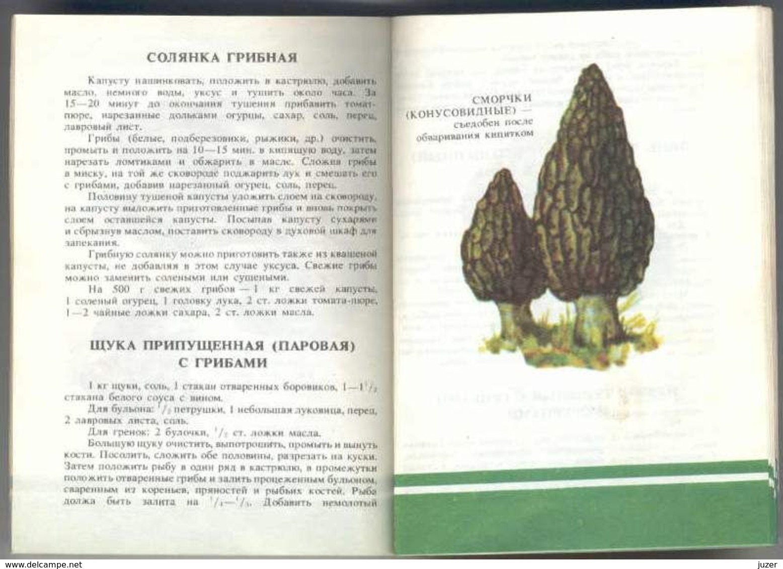 Old Russian Book: Hand-Book Of Mushroomer (1990) - Encyclopaedia