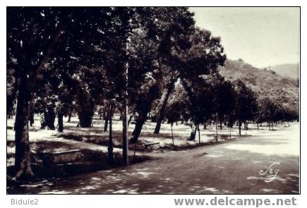 Promenade Des Chataigniers - Le Vigan