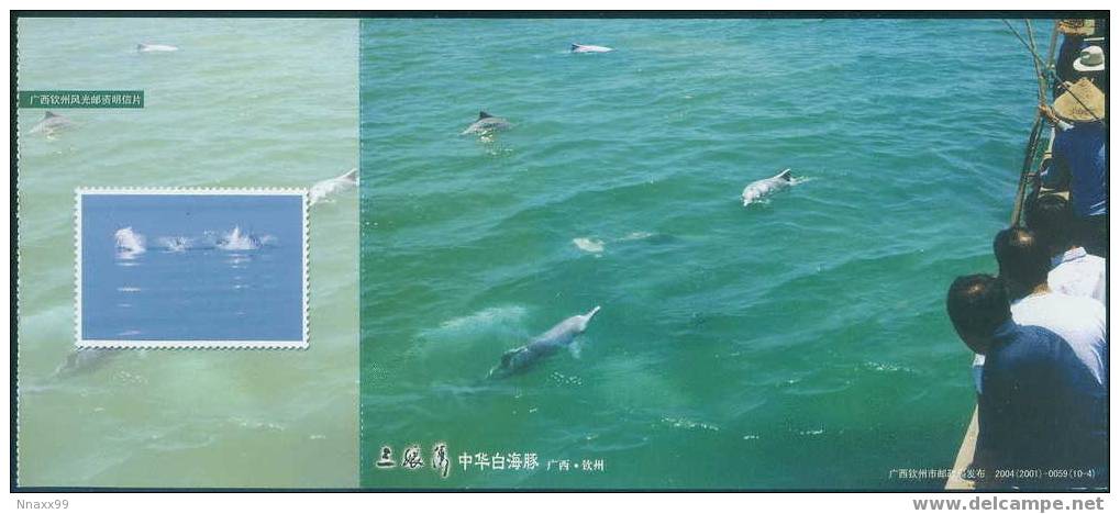 Dolphin - Indo-Pacific Hump-backed Dolphin (Sousa Chinesis) At Sanniang Berth, China Prepaid Postcard - B - Delphine
