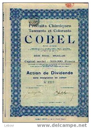 BRUXELLES "Produits Chimiques, Tannants & Colorants COBEL Sa" Action De Dividende - Industry