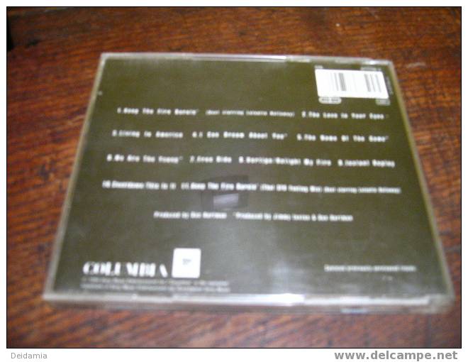 CD 11 TITRES DE DAN HARTMAN. 1994. KEEP THE FIRE BURNIN - Dance, Techno & House