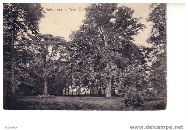 Parc Du Château - Saint Gratien