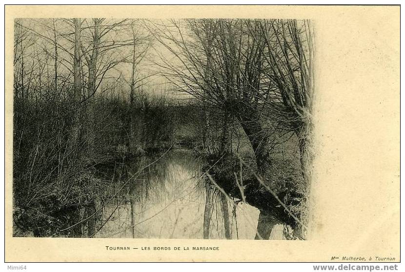 77 . TOURNAN .    LES BORDS DE LA MARSANGE . - Tournan En Brie