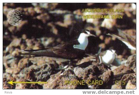 ASCENSION ISLAND 25 L  WIDEAWAKE  BIRD  BIRDS  ASC-M-3D CODE:3CASD CV$30US  SPECIAL PRICE !! - Ascension (Insel)