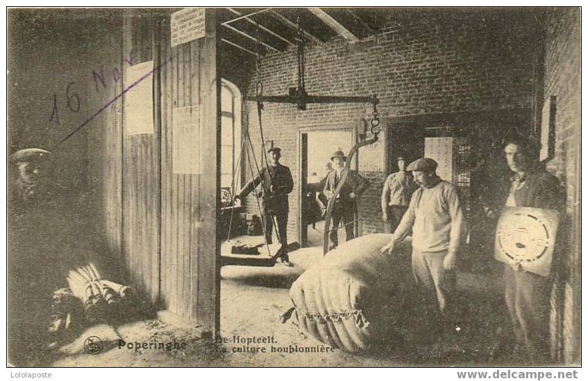 BELGIQUE - CPA -  POPERINGE - La Culture Houblonnière - SUPERBE Carte ANIMEE - Poperinge