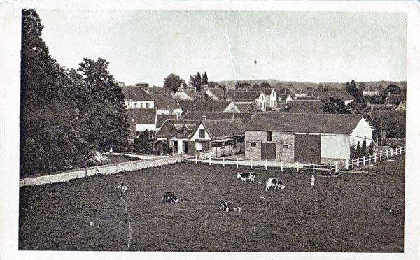 Le Mesle Sur Sarthe - Pâturage Normand - Le Mêle-sur-Sarthe