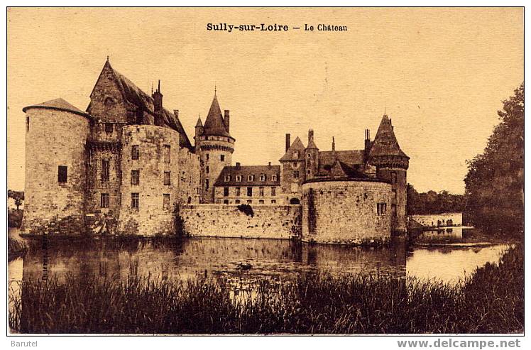 SULLY SUR LOIRE - Le Château - Sully Sur Loire