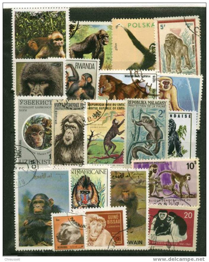 Lot 23 - 30 T Différents Oblit. - Singes - Apen