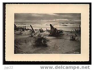 Jolie CP 17 Les Mathes - La Côte Sauvage - Crépuscule - écrite 25-08-1961 - Les Mathes