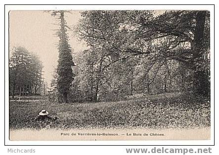 CPA 91 VERRIERES LE BUISSON - Le Parc - Le Bois De Chenes - Verrieres Le Buisson