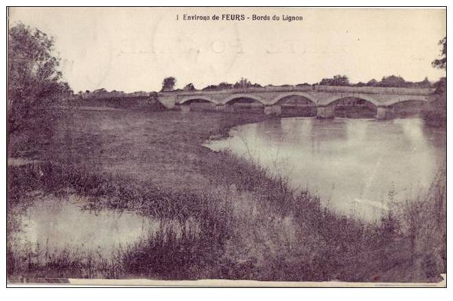 Environs De FEURS  Bords Du Lignon - Feurs