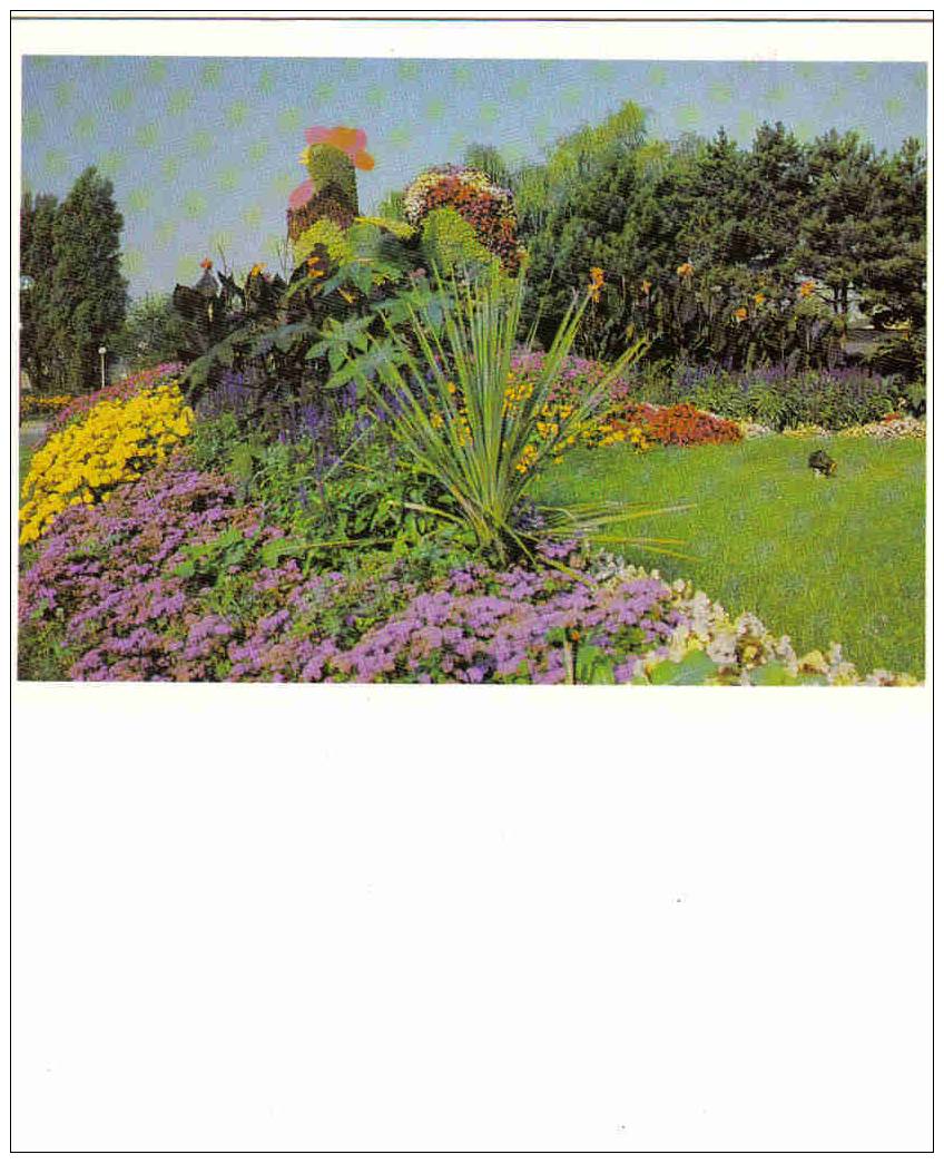 Carte Postale 59. Grande-Synte  Composition Florale Du Service Communal - Grande Synthe