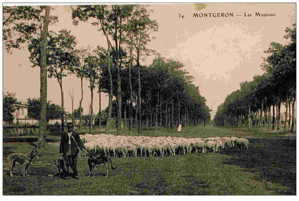 Montgeron - Les Moutons - Montgeron