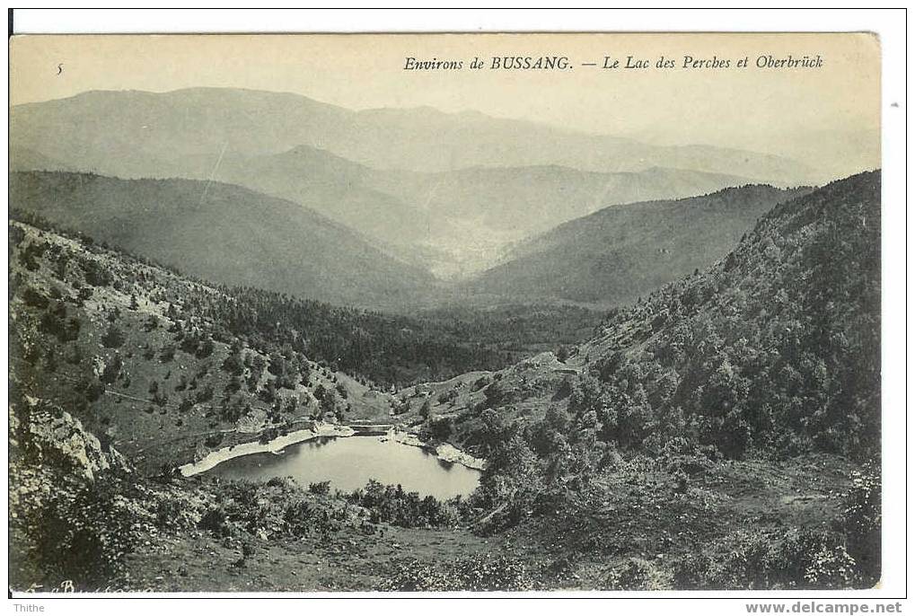 Environs De BUSSANG - Le Lac Des Perches Et Oberbrück - Bussang