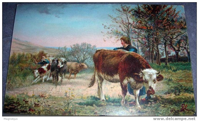 Cows, Cattle, Vintage Postcard, Stengel, Signatured - Crías