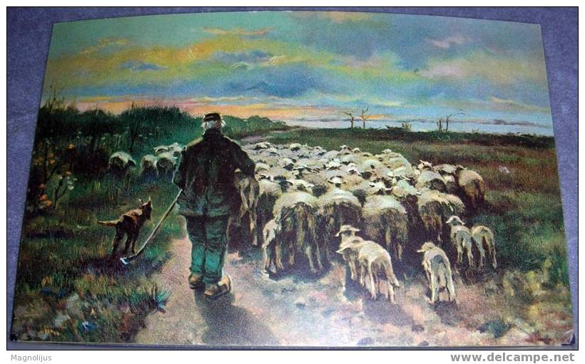 Sheeps, Shepherd, Cattle, Stengel, Vintage Postcard - Breeding