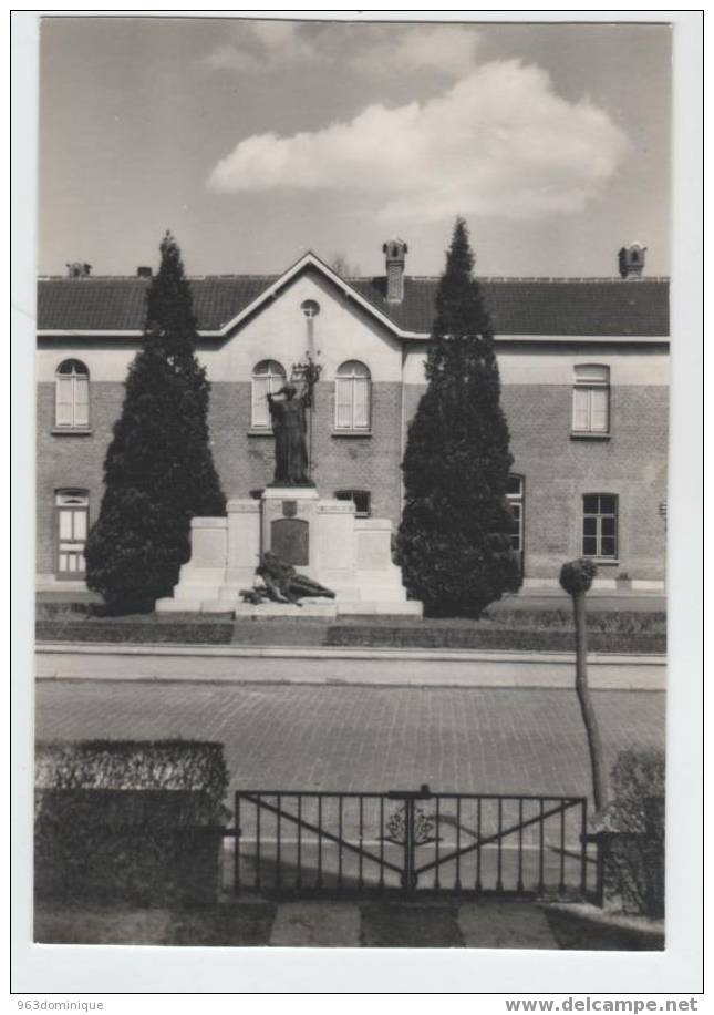 Zele - Monument Der Gesneuvelden 1914 - 1918 En  1940 - 1945 - Foto-kaart - Zele