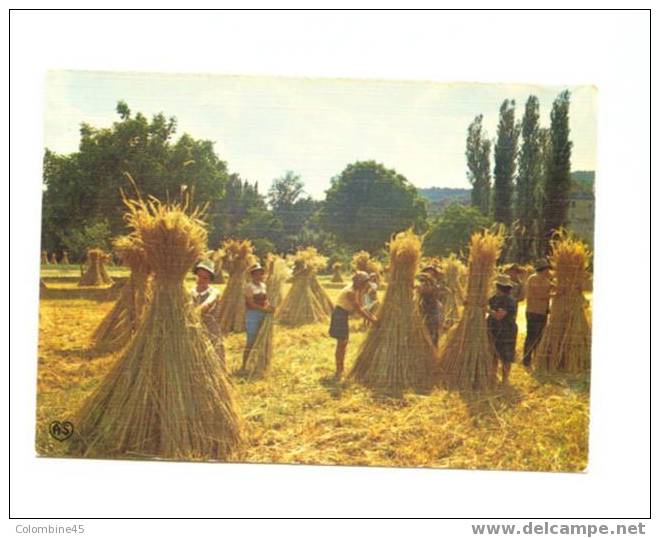 Cpm Agriculture Les Moissons - Landwirtschaftl. Anbau