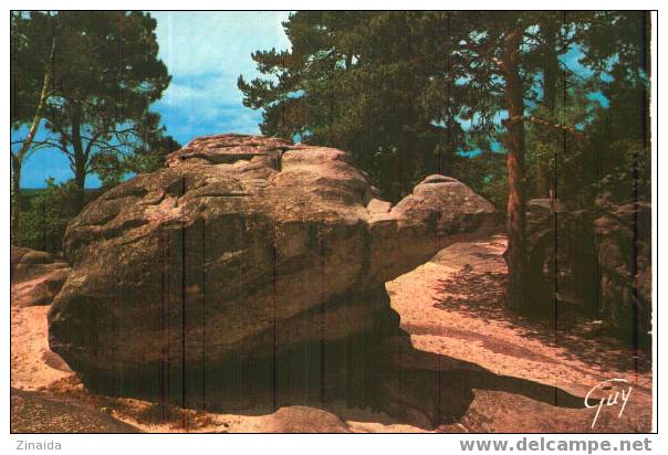 CARTE POSTALE DE NEMOURS - SEINE ET MARNE - AUX ROCHRES GREAU : LA TORTUE - Dolmen & Menhirs