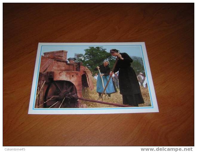 Cpm Normandie Scene Normande La Batteuse Et Les Femmes - Landwirtschaftl. Anbau