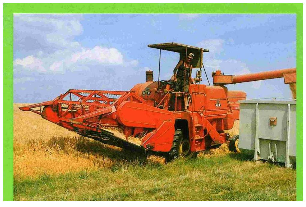 GAUDREVILLE 1991 EN BEAUCE MOISSON DU BLE SUR MASSEY FERGUSSON 400  PHOTO M. LAURENT CARTE SUPERBE ETAT - Landwirtschaftl. Anbau