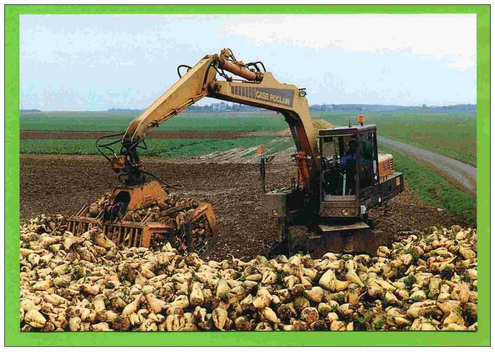 VIERVILLE 1994 EN BEAUCE CHARGEMENT BETTERAVES AVEC CASE POCLAIN 90B PHOTO M. LAURENT CARTE SUPERBE ETAT - Landwirtschaftl. Anbau