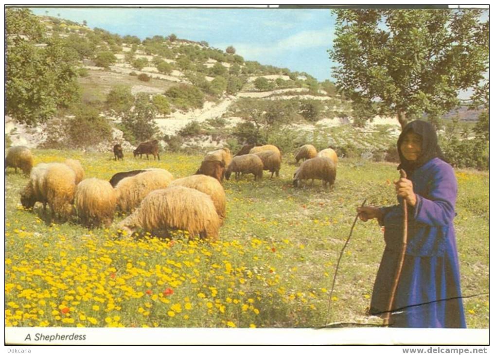 Cyprus - Une Bergère - A Shepherdess - Zypern