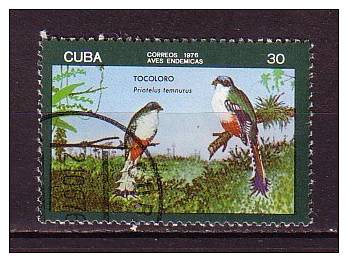 G0633 - CUBA Yv N°1943 OISEAUX BIRDS - Used Stamps