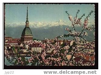 Jolie CP Ciselée Italie Torino Turin Mole Antonelliana Et Les Alpes Arbres En Fleurs - A Circulée - Mole Antonelliana