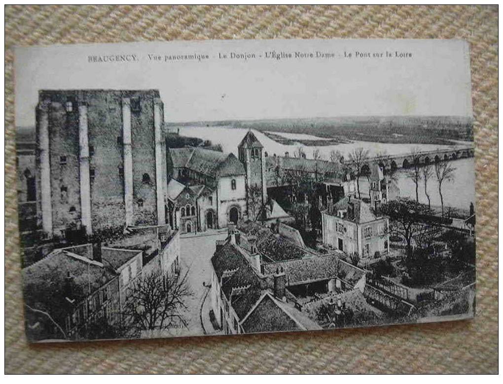 45 BEAUGENCY VUE PANORAMIQUE - Beaugency