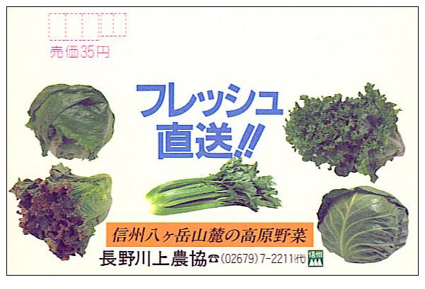 Japon : EP Echocard Legume Vert Chou Salade Celeri Celery Cabbage Green Vegetable Food Nourriture - Légumes