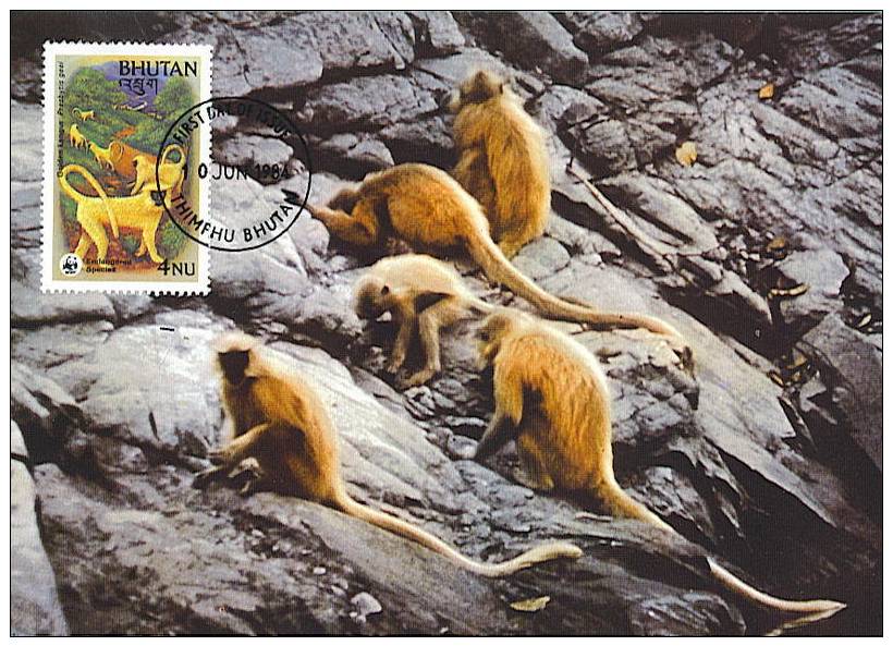 Bouthan : CM Carte Maximum Singe Primate Presbytis Geei Singe D'or Golden Langur Monkey Animal Danger WWF - Apen