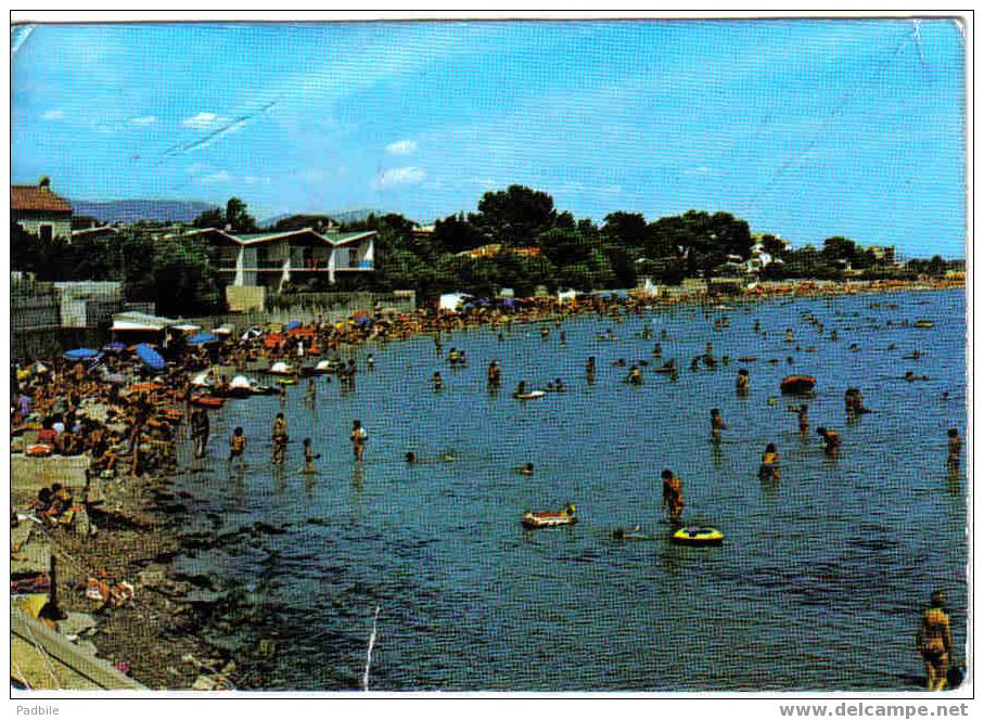 Carte Postale   83.  La Seyne Sur Mer   Mar  Vivo - La Seyne-sur-Mer