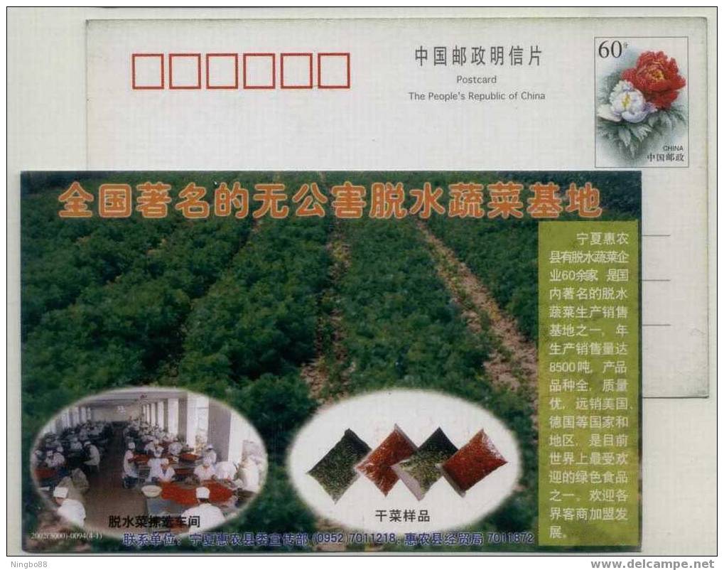 China 2002 Ningxia Base Of Free-pollution Dehydration Vegetable Advertising Postal Stationery Card - Légumes