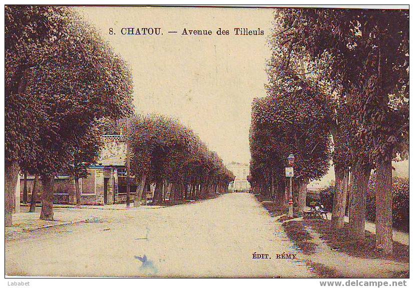 CHATOU N° 8 AVENUE DES TILLEUILS - Chatou