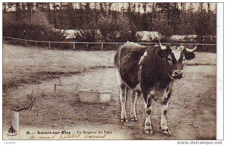 Auvers Sur Oise  N°38 - Auvers Sur Oise