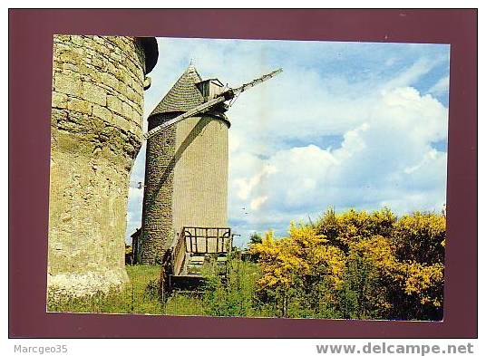 17202 La Roche-bernard Moulins De Marzan N°22 édit.artaud Belle Cpsm - La Roche-Bernard