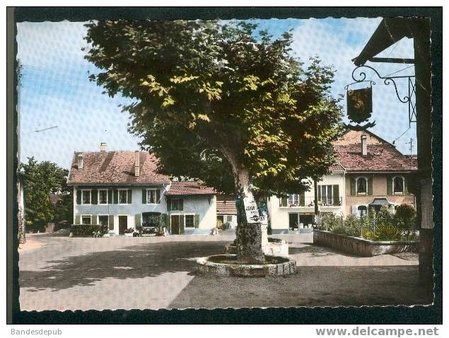 CPSM - Tannay - Sous Les Platanes (Ed. Perrochet) - Roche