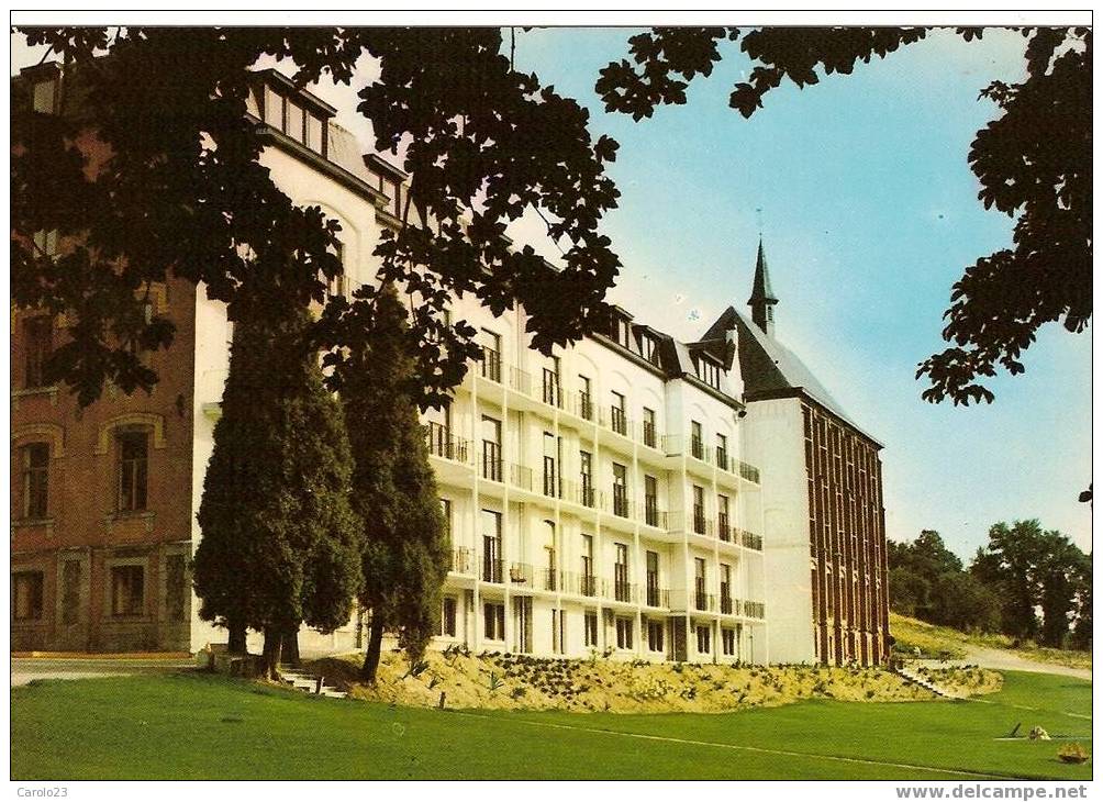 GRAND  -  HALLEUX  :  LA  RESIDENCE  D'  ARDENNE - Vielsalm