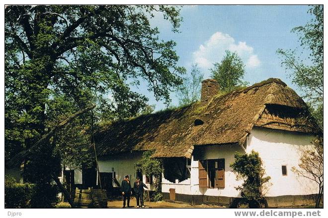 Domein Bokrijk Openluchtmuseum Kempische Hoeve Uit Lummen 1777 - Tongeren