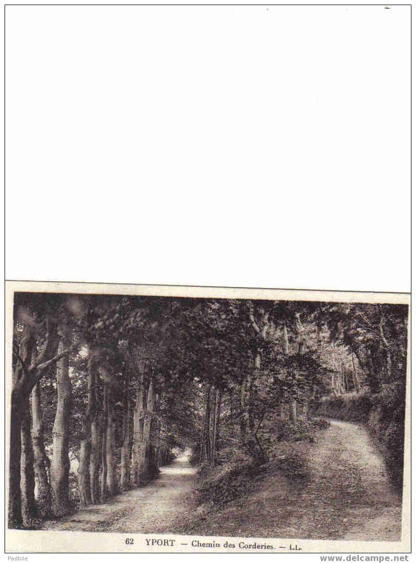 Carte Postale 76. Yport Chemin Des Corderies - Yport