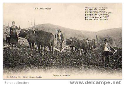 Non Classé .Auvergne Cantal ..Travaux Des Champs..Labourage..Labour ..et.. Semailles   (voir Scan) - Andere & Zonder Classificatie