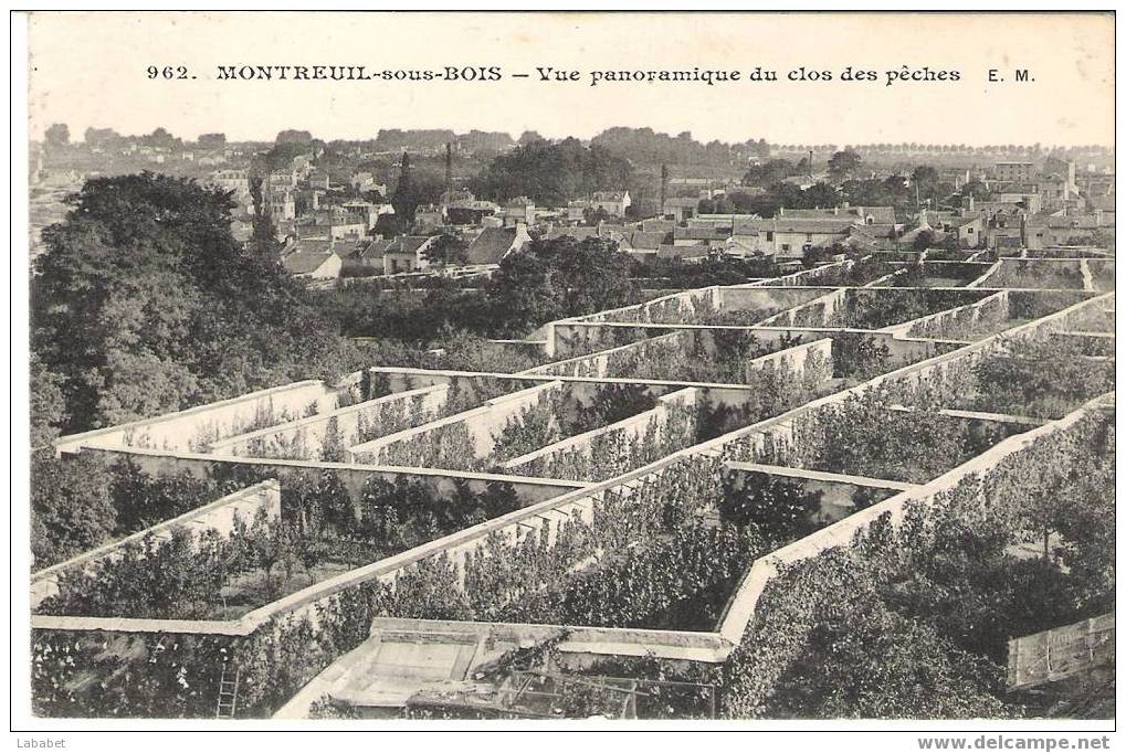 MONTREUIL SOUS BOIS N°962 E M CLOS DES PECHES - Montreuil