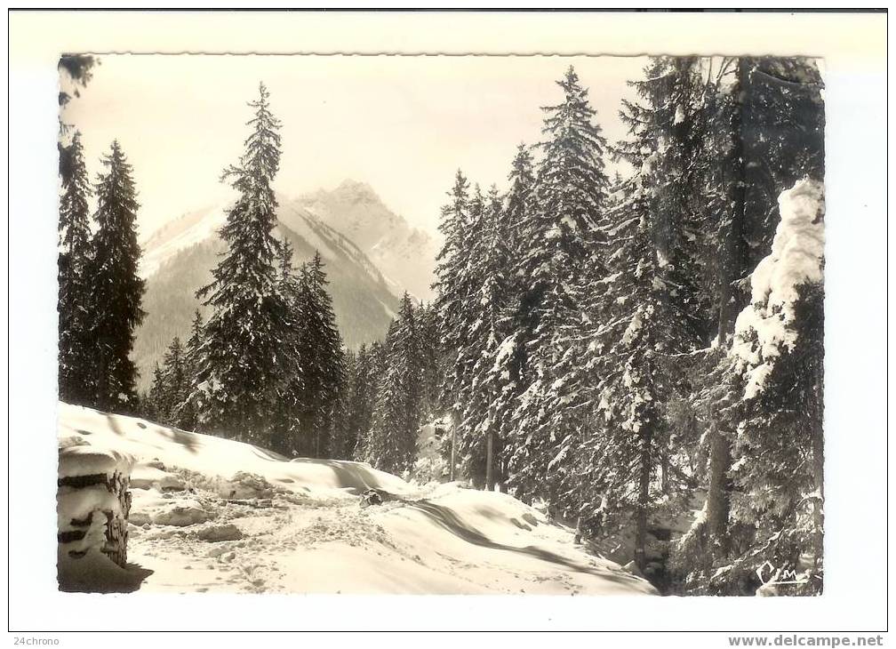 Neige Et Soleil, Sapins Sous La Neige, Carte Postée De Bellevaux (07-2286) - Bellevaux