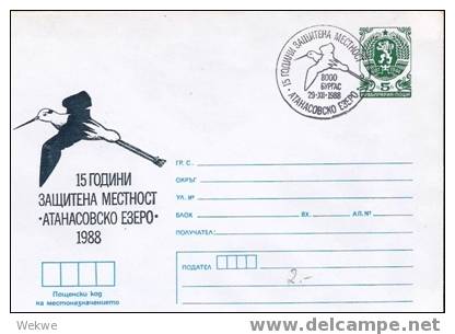 Bu019/  BULGARIEN - Wappen-GA 1988, Storch Im Sonderstempel (Vogelmotiv) - Aérogrammes